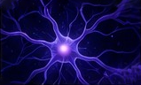 Artificial Intelligence in Biomedical Research